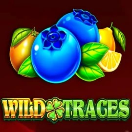 Wild Traces by Amusnet Interactive, showcased at whamoocasinoo.de – game logo